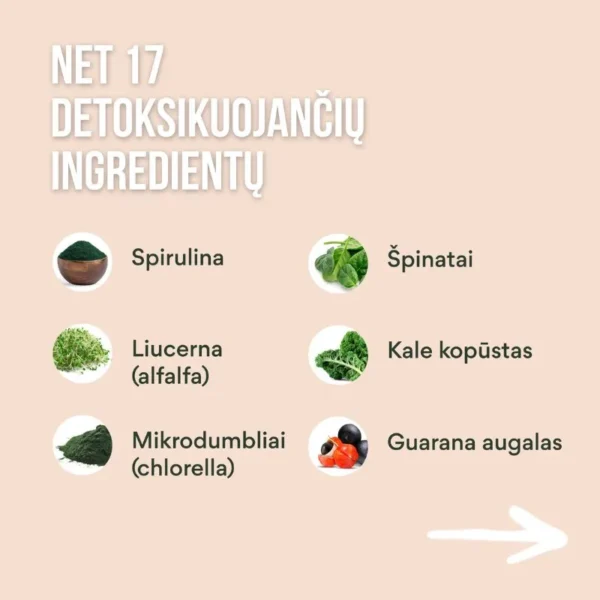 ingredientai spirulina liucerna mikrodumbliai špinatai kale guarana