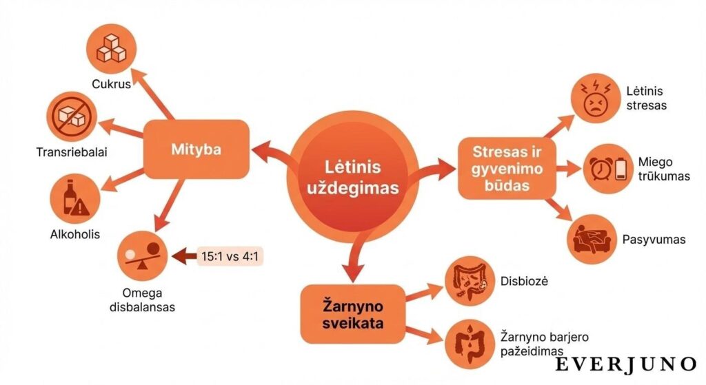 Lėtinio uždegimo priežastys: mityba, stresas, miego trūkumas ir žarnyno disbiozė schemoje