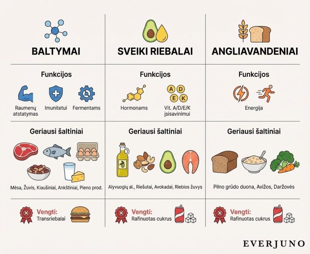 Makroelementų funkcijos ir maisto šaltiniai – baltymų, riebalų ir angliavandenių palyginimas
